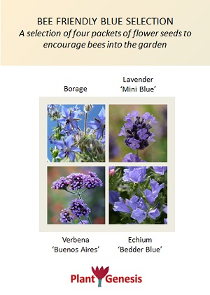 Bee Friendly Blue Selection / 4 packets of PlantGenesis Seeds